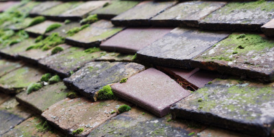 Sedlescombe roof repair costs